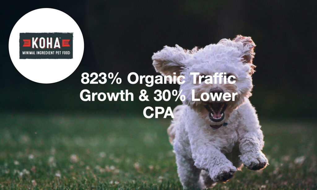 Case Study: How We Grew KOHA’s Organic Traffic by 823% and Lowered CPA by 30%